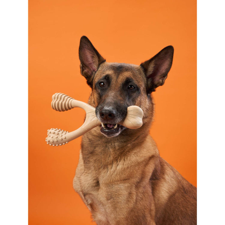 BetterBone HARD Chew Toy BetterBone All Natural Eco-Friendly Dog Chews & Bones