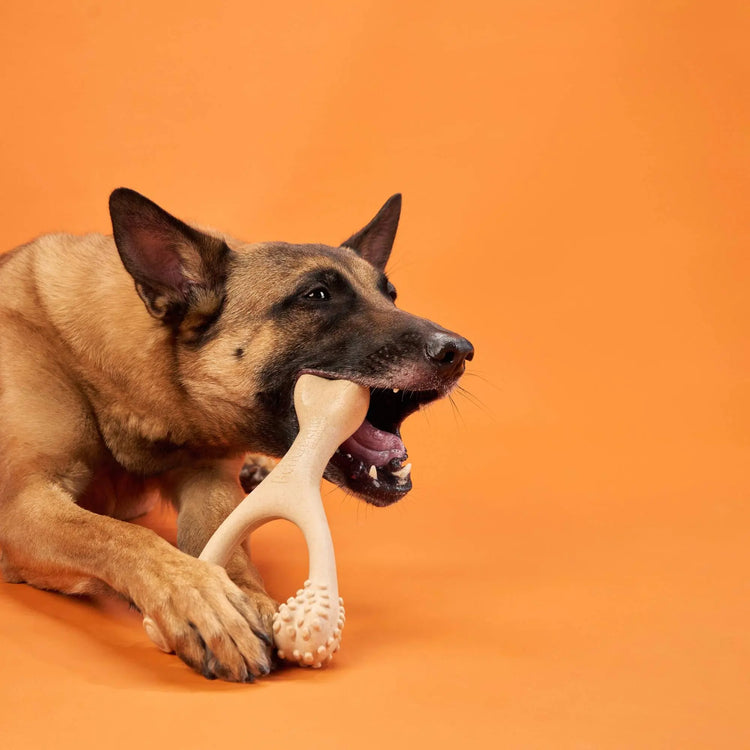 BetterBone HARD Chew Toy BetterBone All Natural Eco-Friendly Dog Chews & Bones