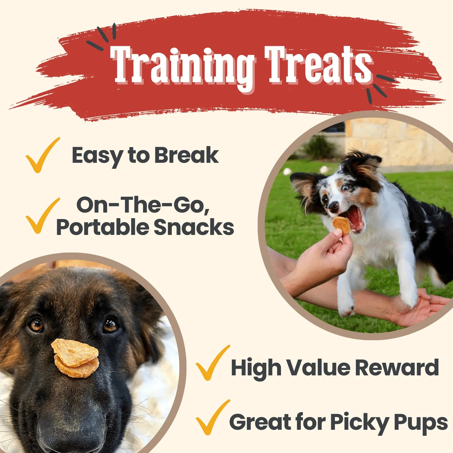 Chicken Chips for Dogs | All-Natural Single-Ingredient Dog Treats Farm To Pet