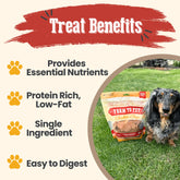 Chicken Chips for Dogs | All-Natural Single-Ingredient Dog Treats Farm To Pet