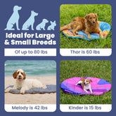 Travel Dog Bed - Foldable & Packable for Travel, Road Trip, Camping Rubyloo