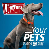 Jeffers Thinnies Unstuffed Plush Dog Toys, 21"L Jeffers